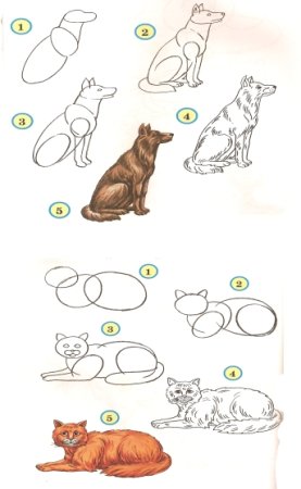 Рисовать кошку и собаку