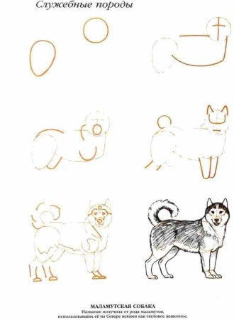 Собака рисунок карандашом для детей легкие