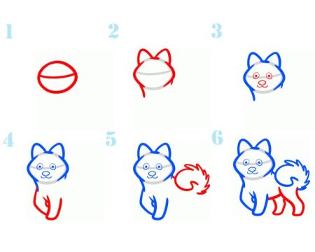 Хаски построение собаки рисование