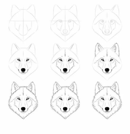 Нарисовать карандашом 3 класс хаски