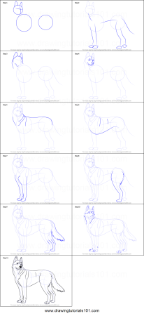 Поэтапное рисование волка для детей