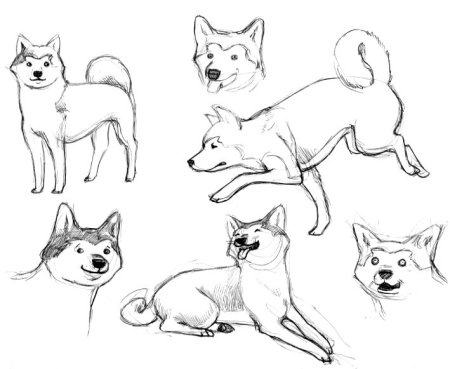 Аска рисунок