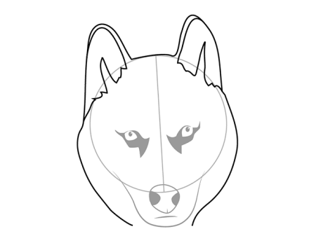 Поэтапное рисование собаки хаски