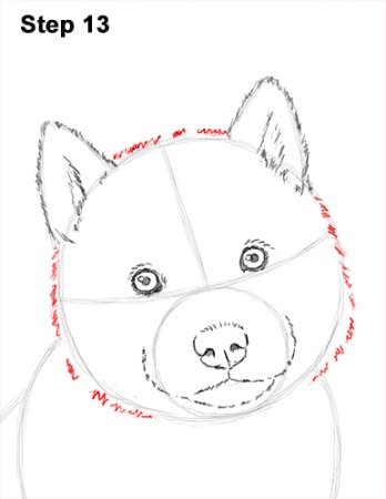 Схема рисования волка