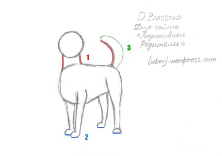 Хаски карандашом для срисовки для новичков