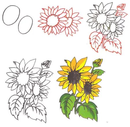 Поэтапное рисование цветов