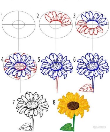 Рисунки для начинающих цветы