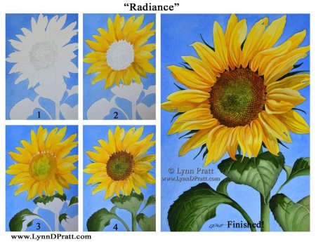 Подсолнух поэтапное рисование для детей