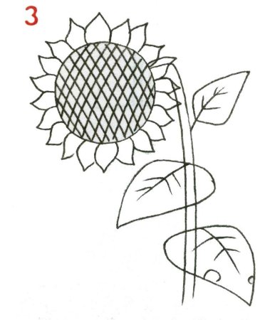 Поэтапное рисование розы для детей