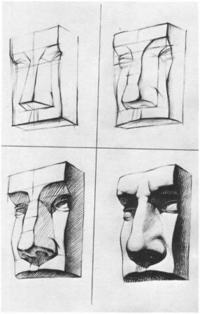 Нос Давида гипс построение