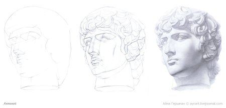 Аполлон гипсовая голова рисунок построение