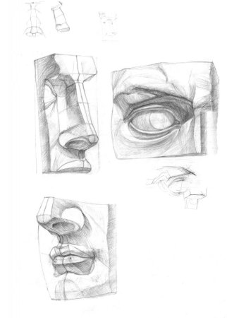 Части лица Давида Академический Гризайл