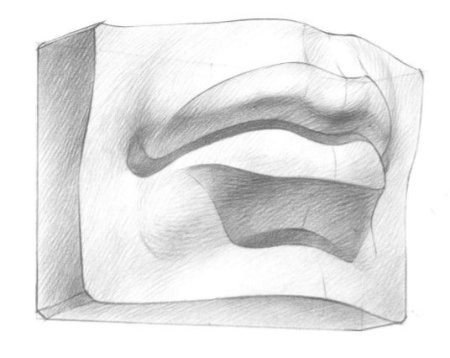 Академическое построение губ Давида