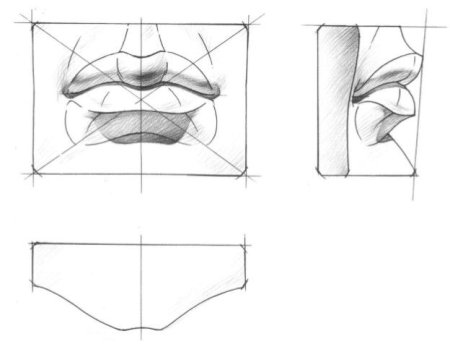 Антиной линейно конструктивный рисунок