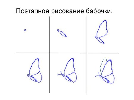 Рисунок поэтапно бабочка на цветке (46 фото) » рисунки для срисовки на жк-вершина-сайт.рф