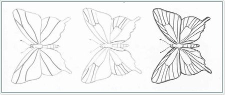 Как нарисовать бабочку поэтапно