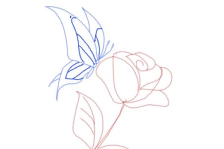 Рисуем бабочку поэтапно