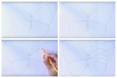 Бабочка поэтапное рисование карандашом
