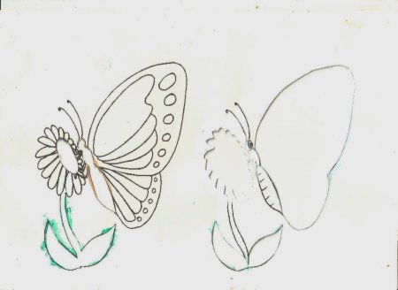 Бабочка рисунок пошагово