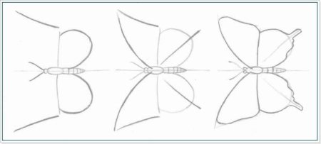 Уроки рисования бабочка