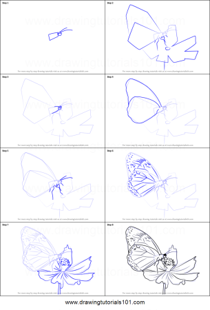 Схема рисования бабочки для дошкольников