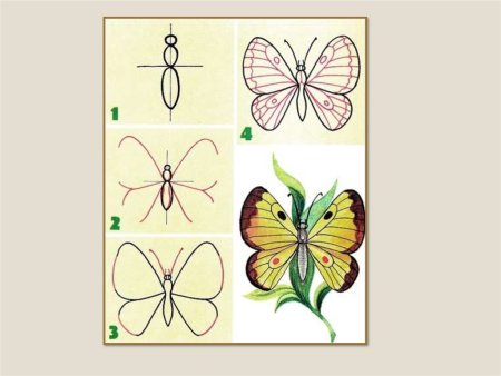 Рисуем бабочку поэтапно