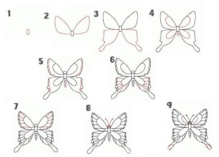 Рисование бабочки