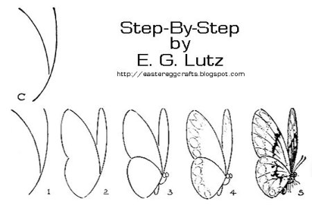 Этапы рисования бабочки