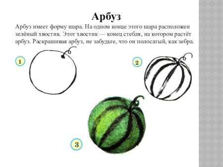 Учимся рисовать Арбуз