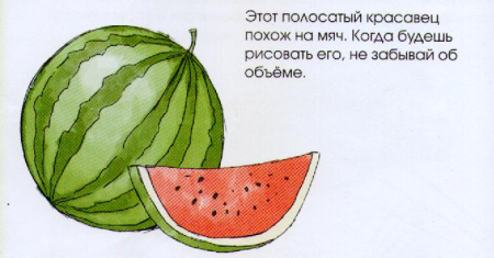 Этапы рисования арбуза