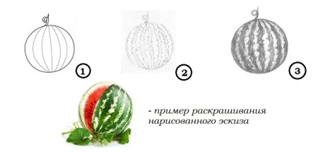Поэтапное рисование арбуза