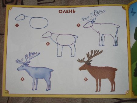Рисование оленя в подготовительной группе