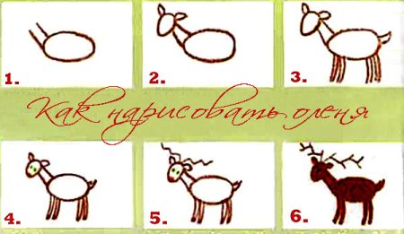 Поэтапное рисование лося