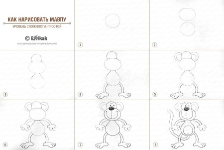 Схема рисования обезьян в старшей группе