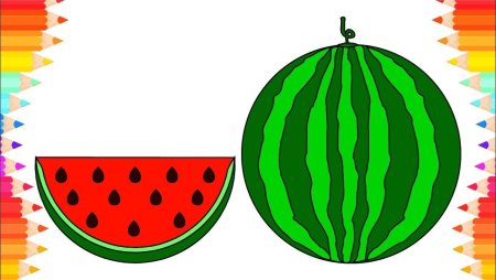 Поэтапное рисование арбуза