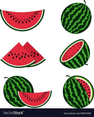 Арбуз раскраска для детей