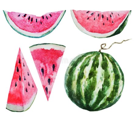 Арбуз рисунок карандашом