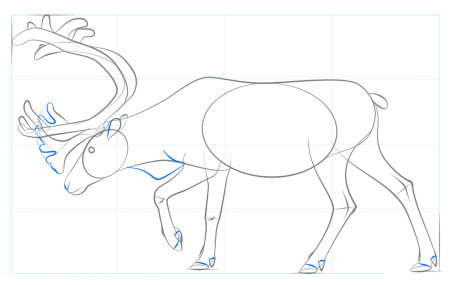Поэтапное рисование оленя для детей