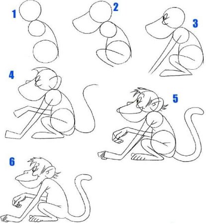 Как нарисовать обезьянку