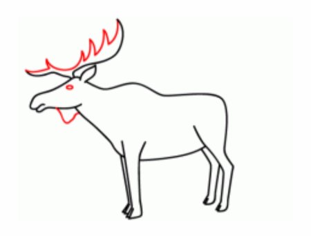 Олень в разных позах