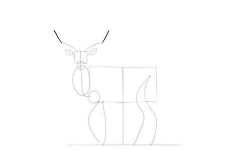 Как рисовать оленя поэтапно