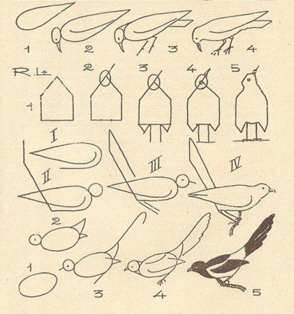 Сорока поэтапное рисование для детей