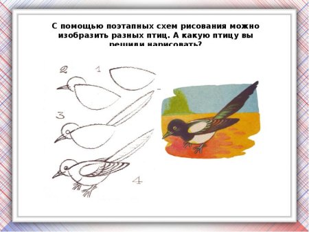 Последовательность изображения птицы