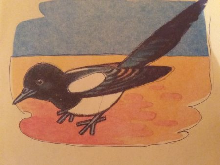 М пришвин выскочка иллюстрация сороки