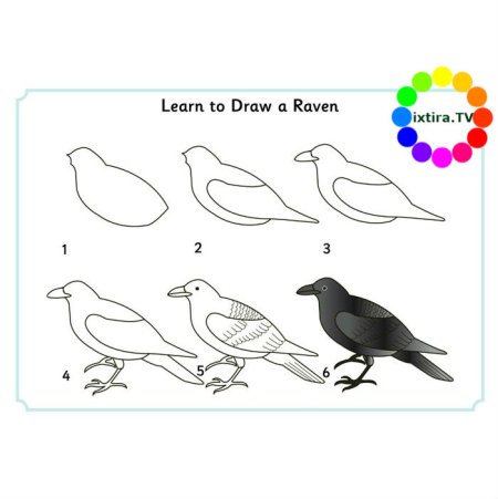 Поэтапное рисование ворона