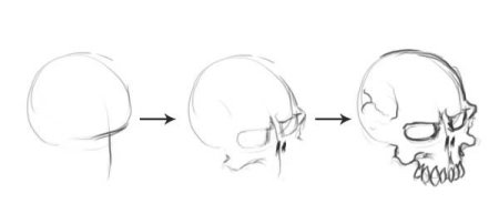 Череп референс мультяшный