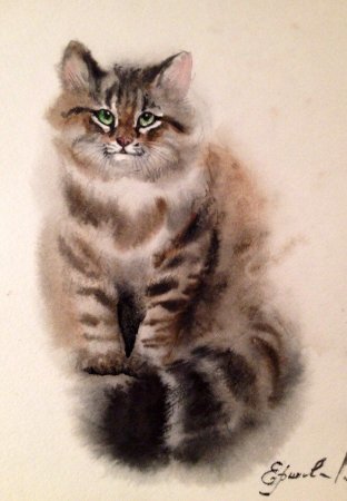 Котенок акварелью для начинающих
