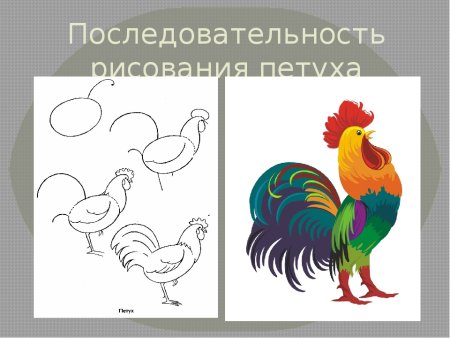 Последовательность рисование петуха