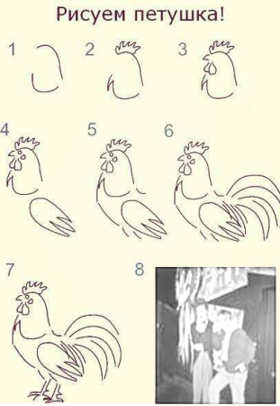 Поэтапный рисунок петуха