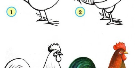 Алгоритм рисования петушка для дошкольников